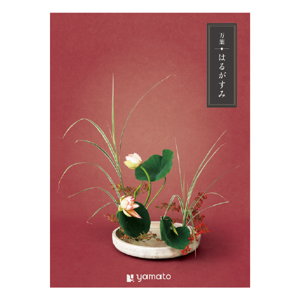 �J�^���O�M�t�g ���t �͂邪����